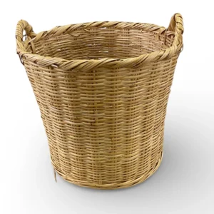 Stor bambuskurv – natur
